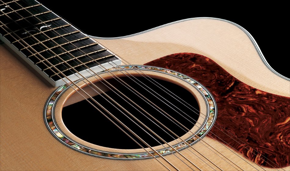 12-string-guitar