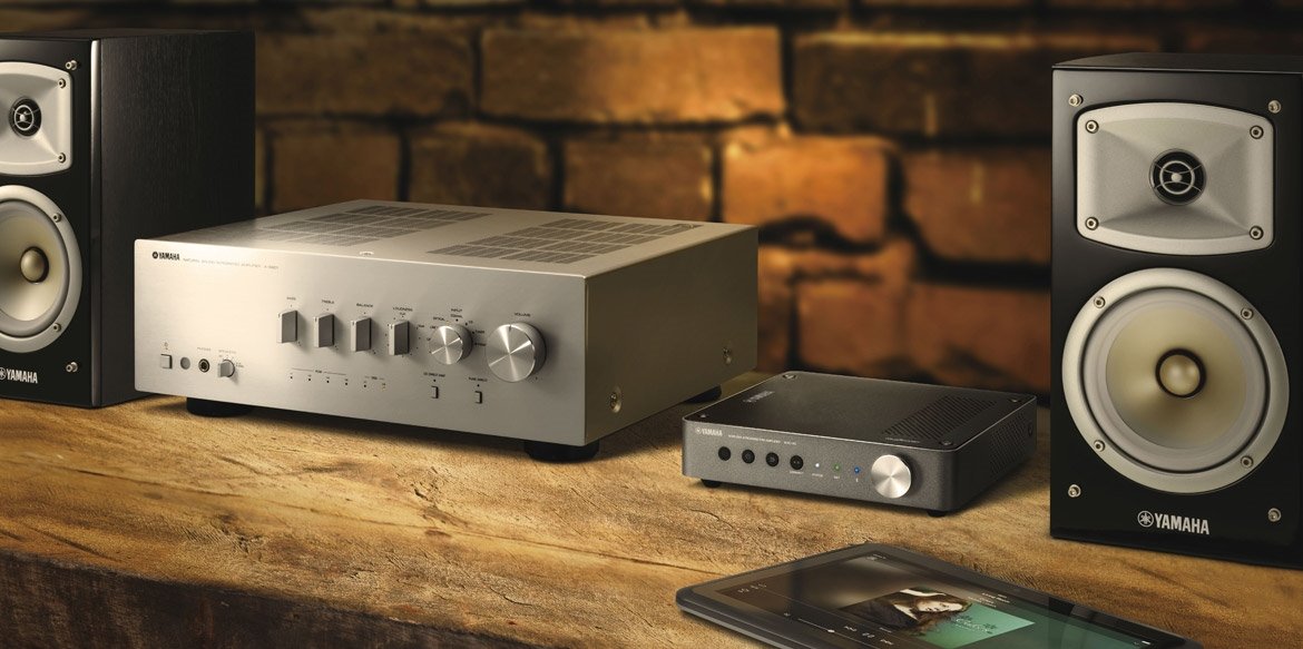 5 Best Amplifiers for Turntable (Winter 2024) Reviews & Guide