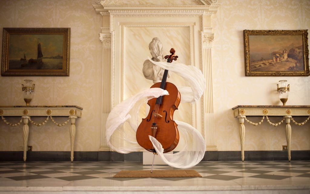 10 Best Cellos - Feel Every String Of Your Soul (Spring 2022)