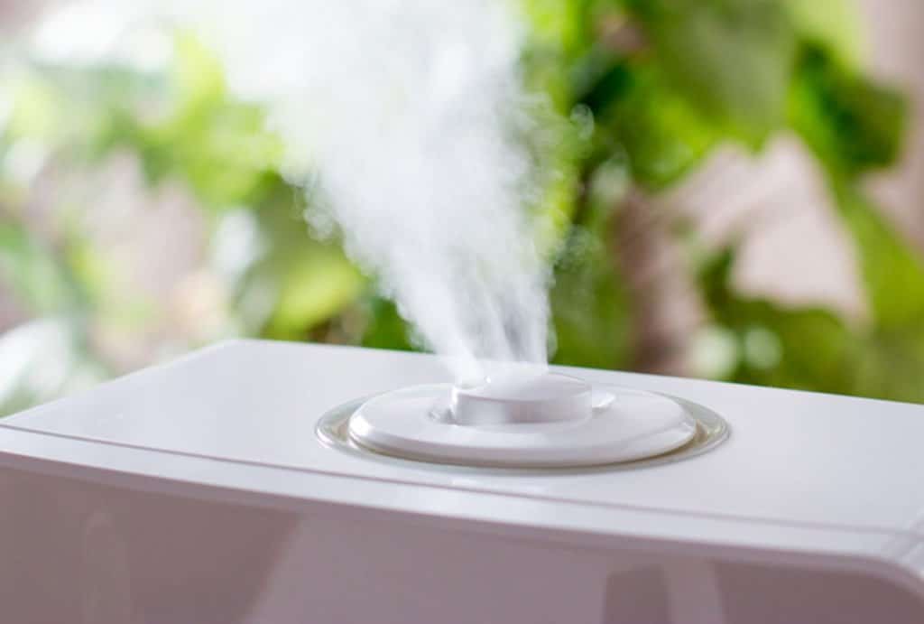 6 Best Filterless Humidifiers (Winter 2024) — Reviews & Buying Guide