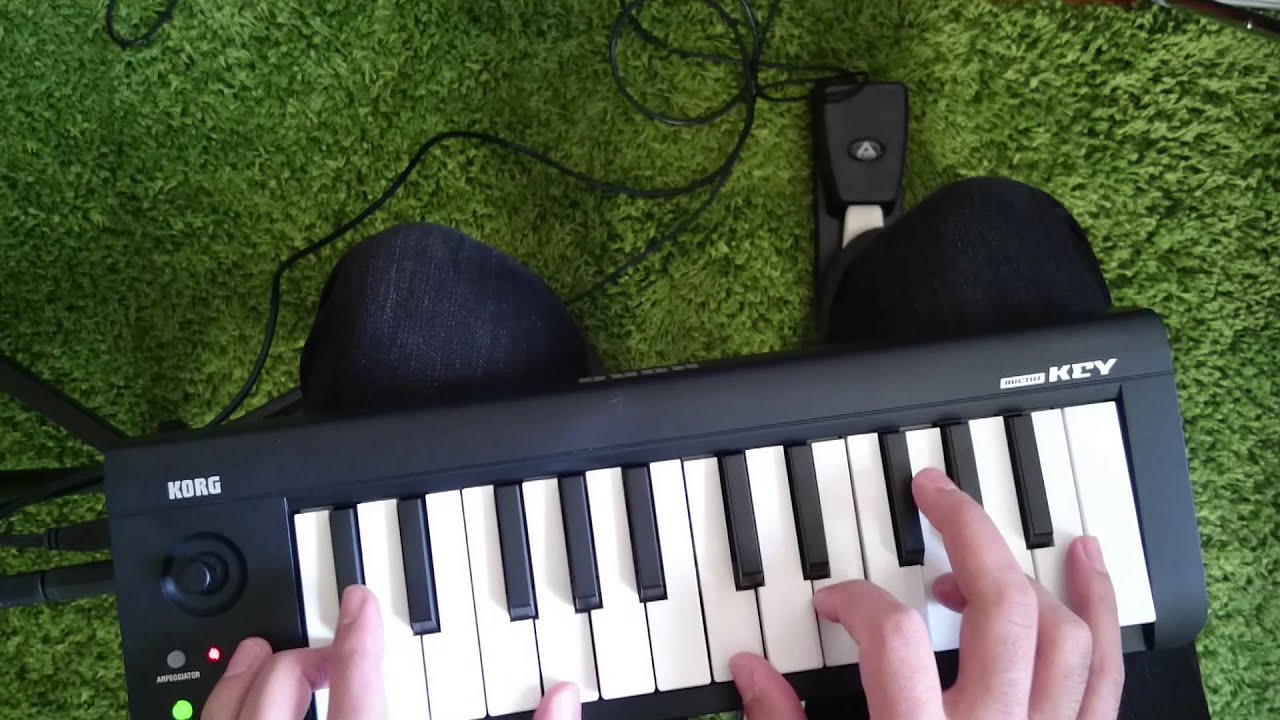 8 Best Sustain Pedals (Winter 2024) Reviews & Buying Guide