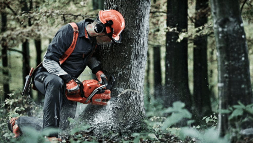 7 Best Professional Chainsaws - Every Project Brought To Success (Summer 2022)