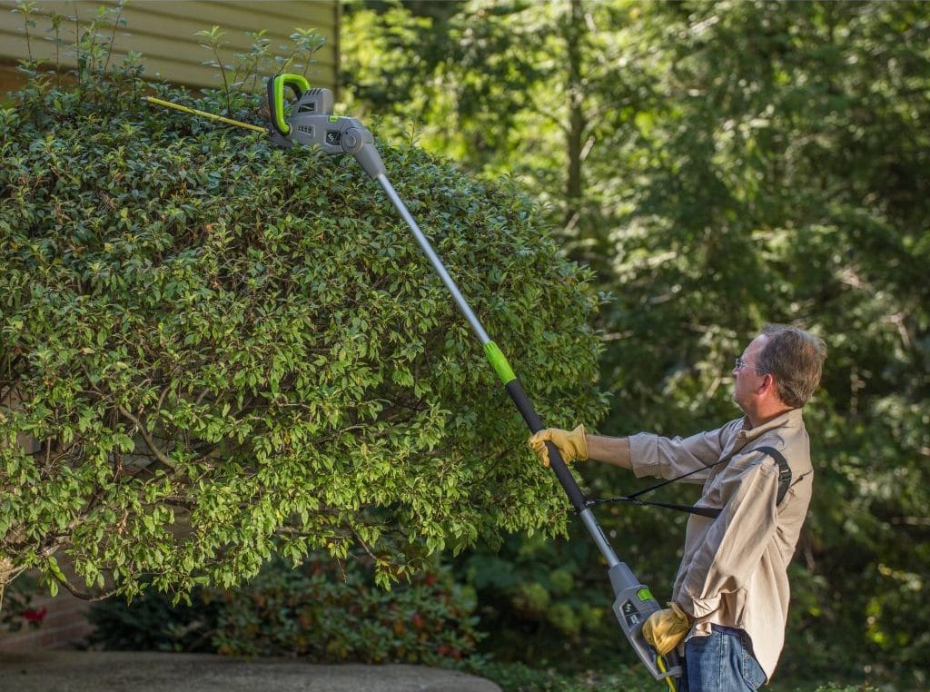 6 Best Pole Hedge Trimmers (Winter 2024) – Reviews & Buying Guide