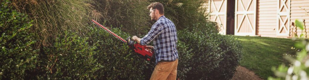 6 Best Cordless Hedge Trimmers to Keep your Garden Neat (2023)