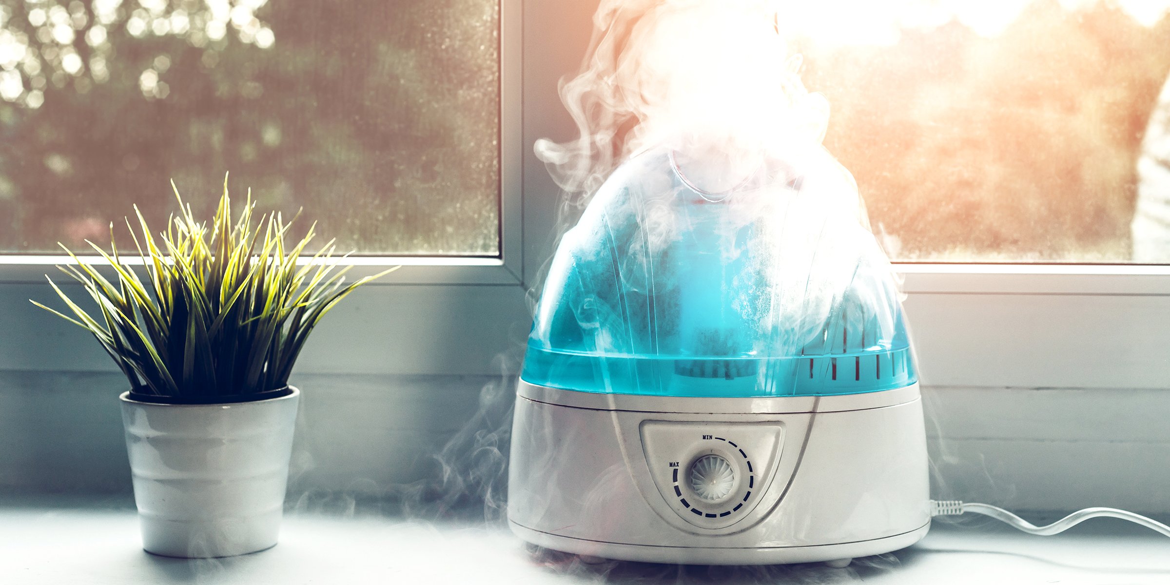 Best Baby Humidifiers