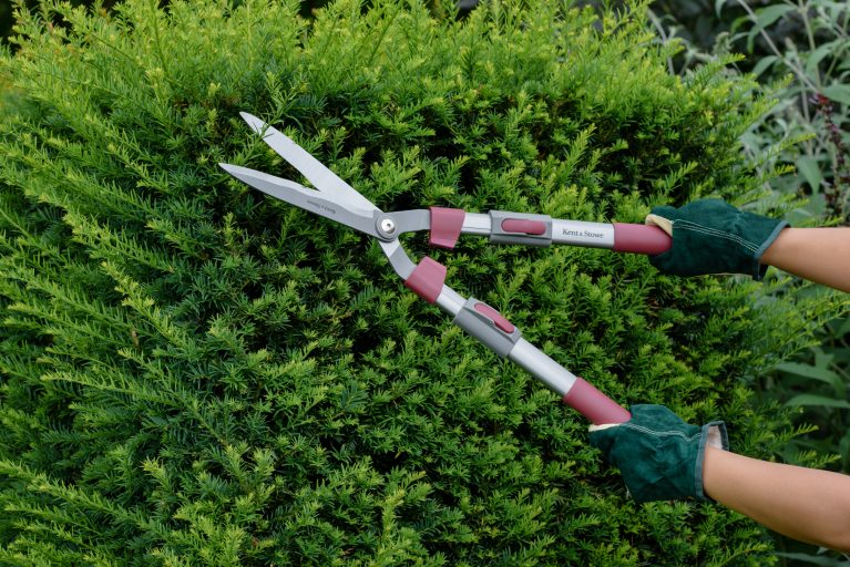 7 Best Hedge Shears (Spring 2024) Reviews & Buying Guide