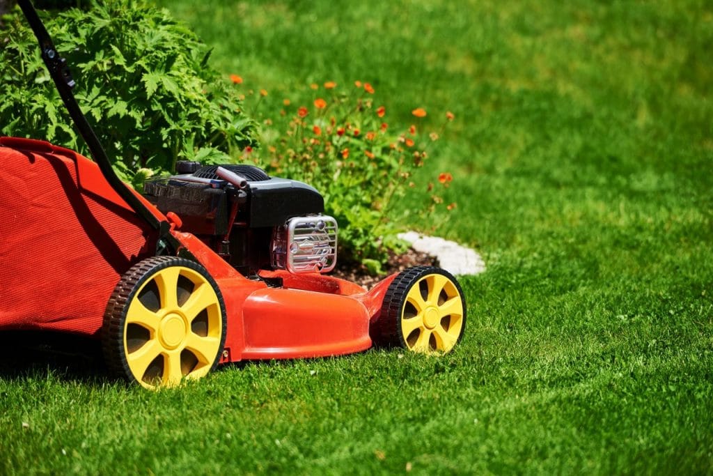 5 Best Self-Propelled Lawn Mowers — Your Mowing Routine Has Never Been Easier! (Winter 2023)