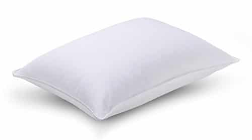 Luxuredown White Goose Down Pillow
