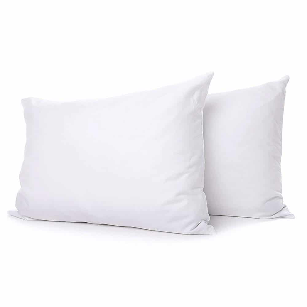 eLuxurySupply Extra Soft Down Filled Pillow