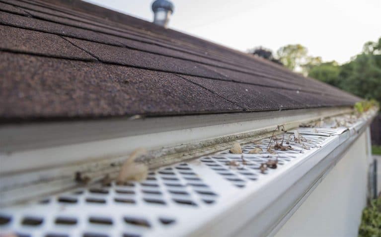 5 Best Gutter Guards For Pine Needles (Winter 2024) – Reviews & Guide