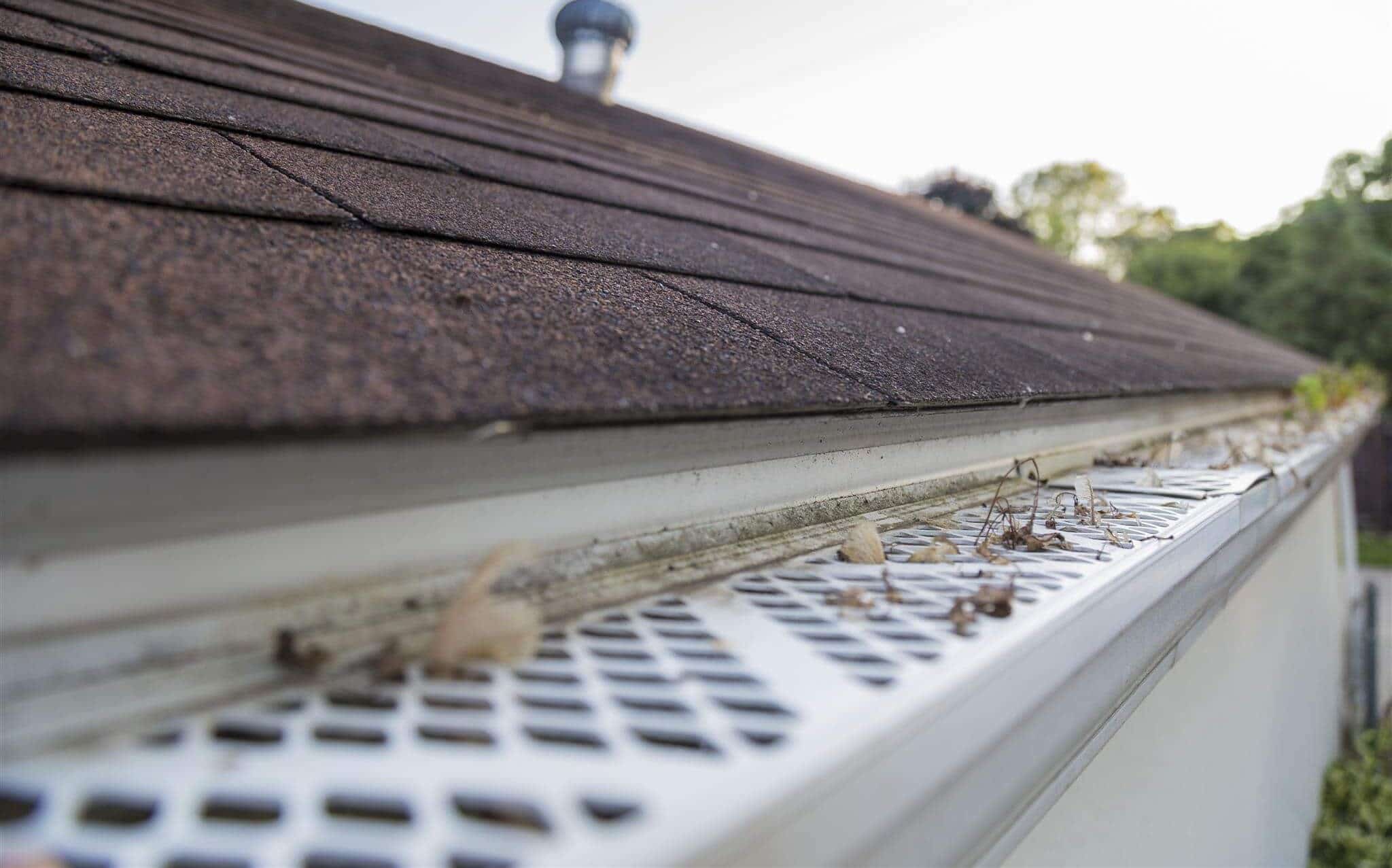 5 Best Gutter Guards for Pine Needles (Winter 2024) Reviews & Guide