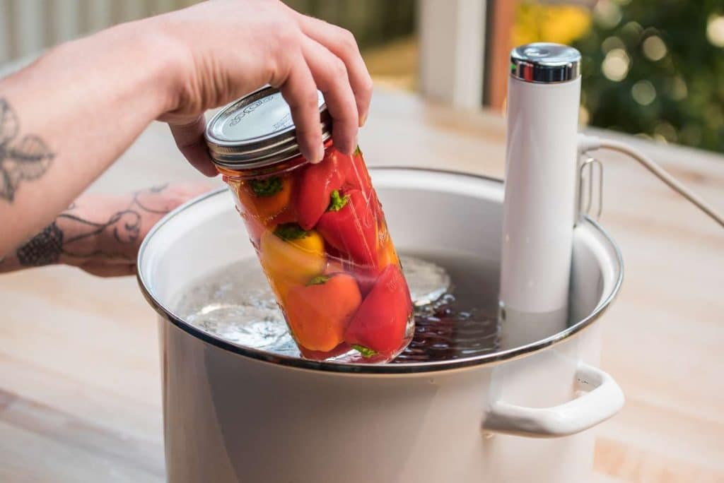 10 Best Sous Vide Machines for Cooking Enthusiasts – From Immersion Circulators to Water Baths
