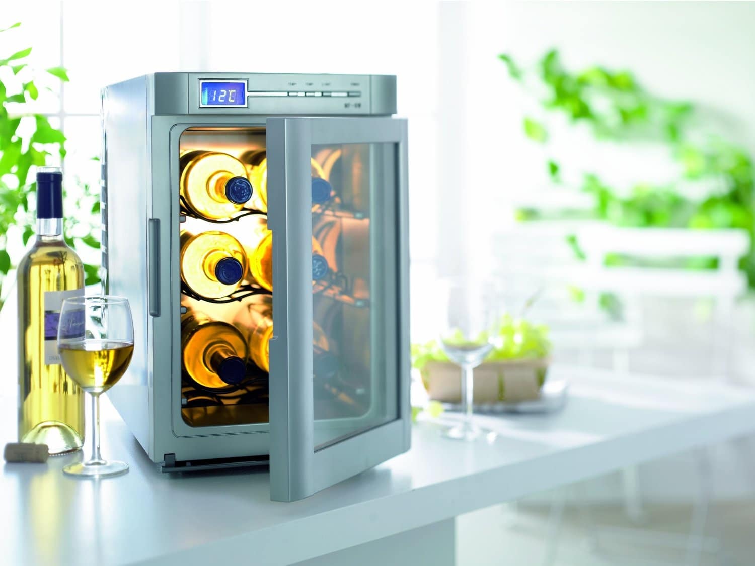 9 Best Small Wine Coolers (Winter 2024) Reviews & Buying Guide