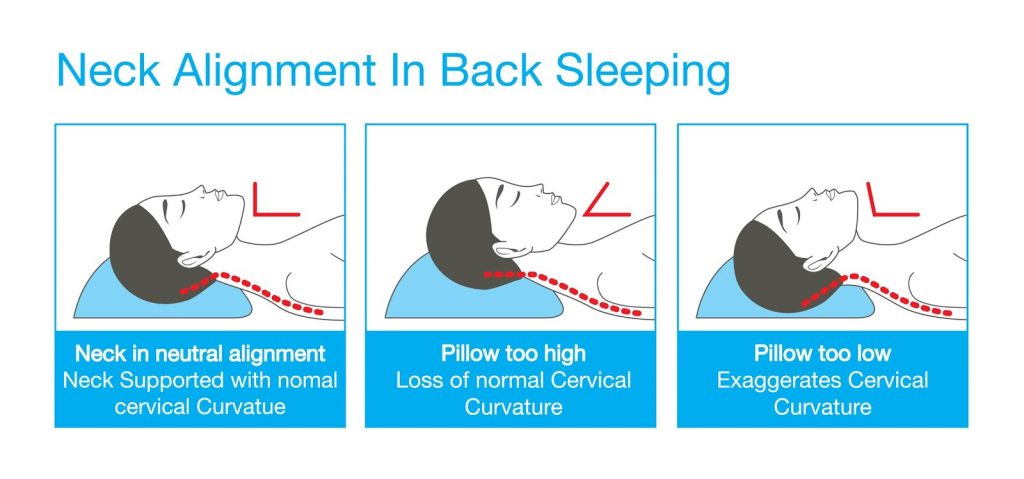 7 Best Pillows for Back Sleepers — Protect Your Face Skin and Sleep Restfully! (Summer 2022)