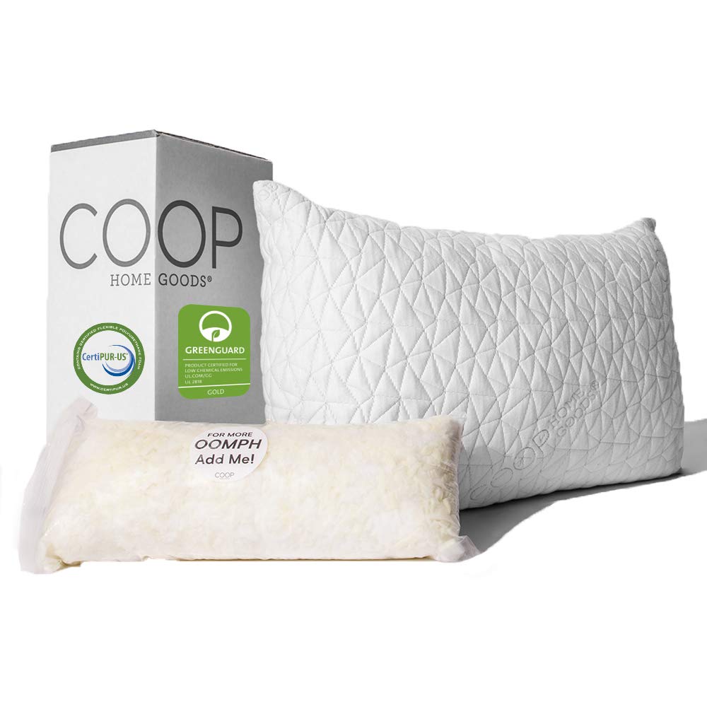Coop Home Goods Premium Pillow