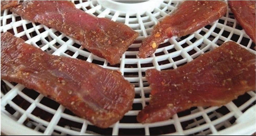 7 Best Dehydrators for Jerky (Fall 2023) Reviews & Buying Guide