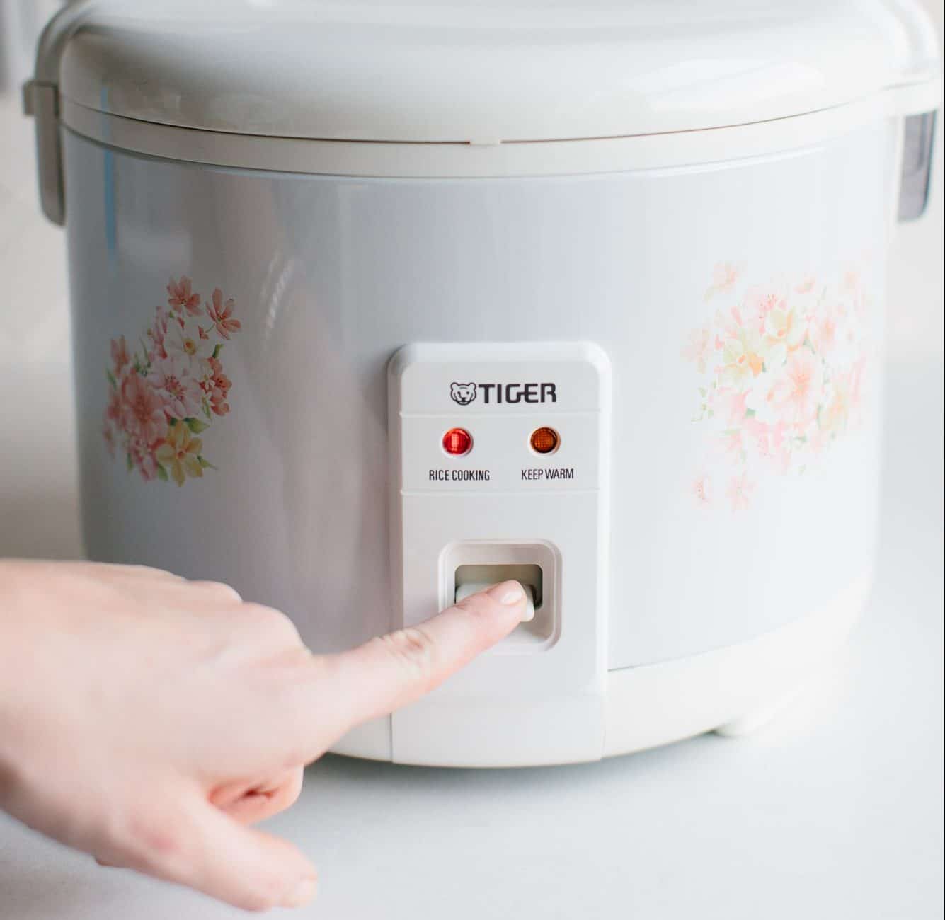 6 Best Sushi Rice Cookers (Winter 2025) – Reviews & Buying Guide