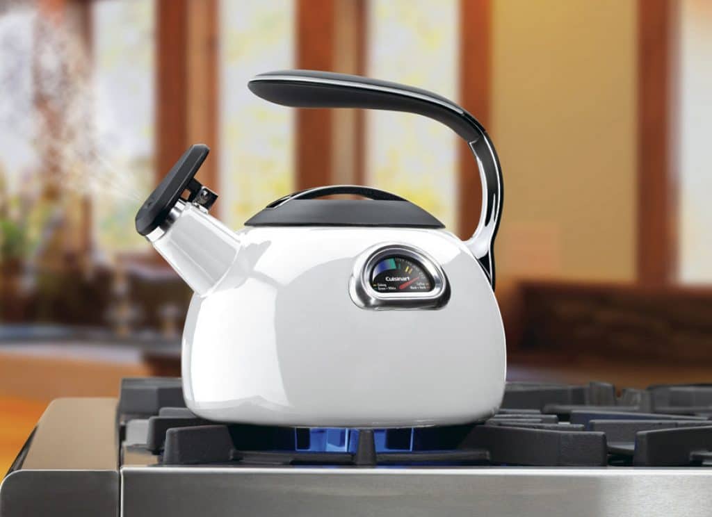 8 Best Kettles with Thermometer - Boiling under Control (Winter 2023)
