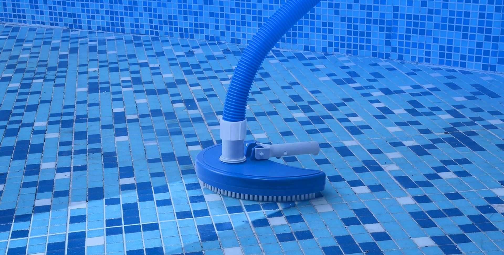 5 Best Pool Vacuum Heads (Winter 2024) Reviews & Buying Guide