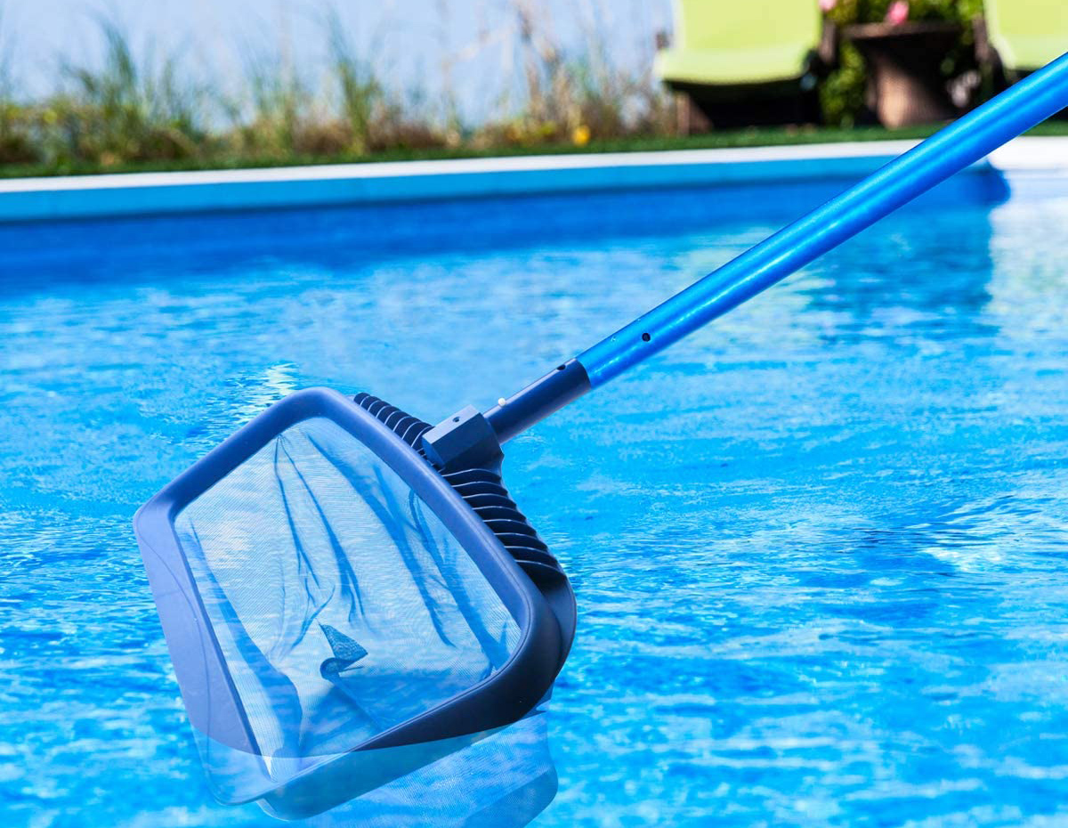 10 Best Pool Skimmers (Winter 2024) Reviews & Buying Guide