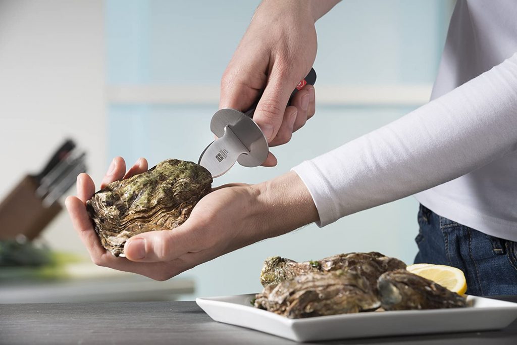 10 Best Oyster Knives – Open the Shells Up With Much More Ease!