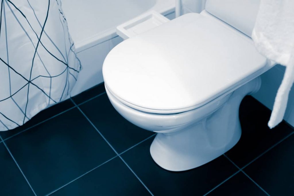4 Best Toilet Seats for Heavy Person - Comfort In Any Case (Summer 2022)