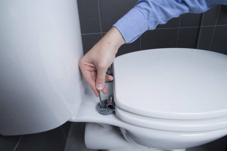 4 Best Toilet Seats for Heavy Person (Winter 2024) — Reviews