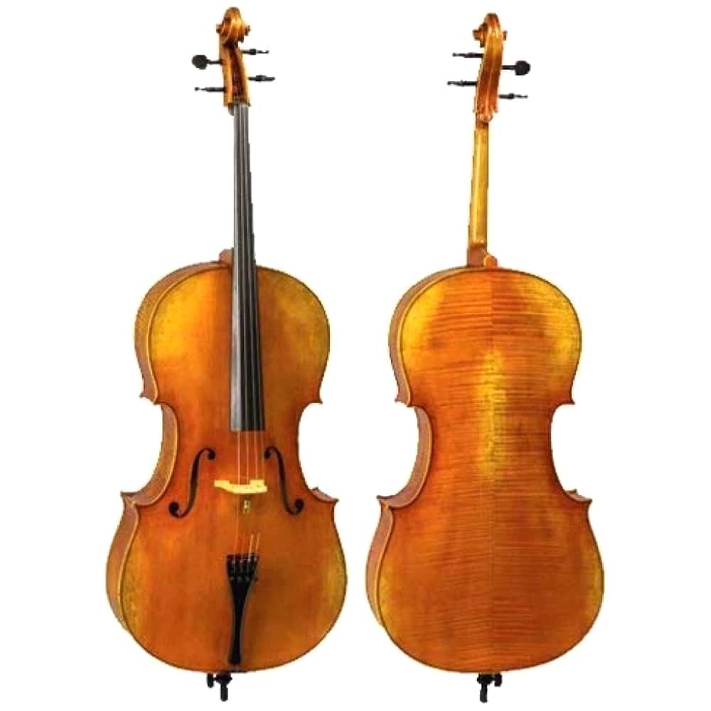 D Z strad Cello Model 101