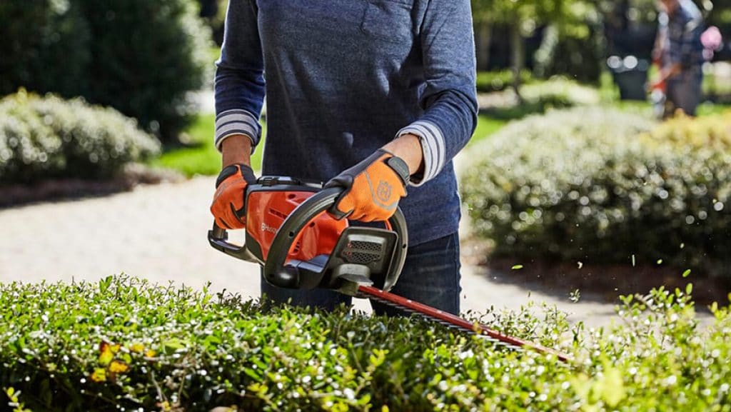 10 Best Hedge Trimmers  – Powerful and Reliable Tools for Consistent Results!