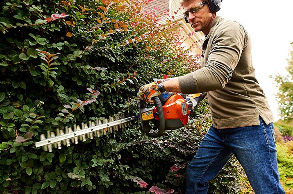 10 Best Hedge Trimmers  – Powerful and Reliable Tools for Consistent Results!