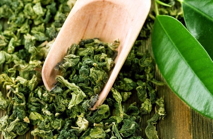 10 Best Green Teas – Wide Variety of Flavors for Everyone!