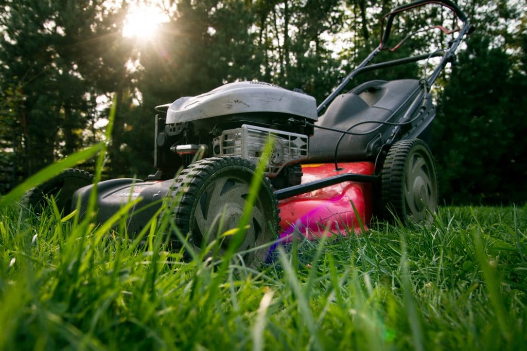 7 Greatest Riding Lawn Mowers to Keep Your Yard in a Top-Notch Condition