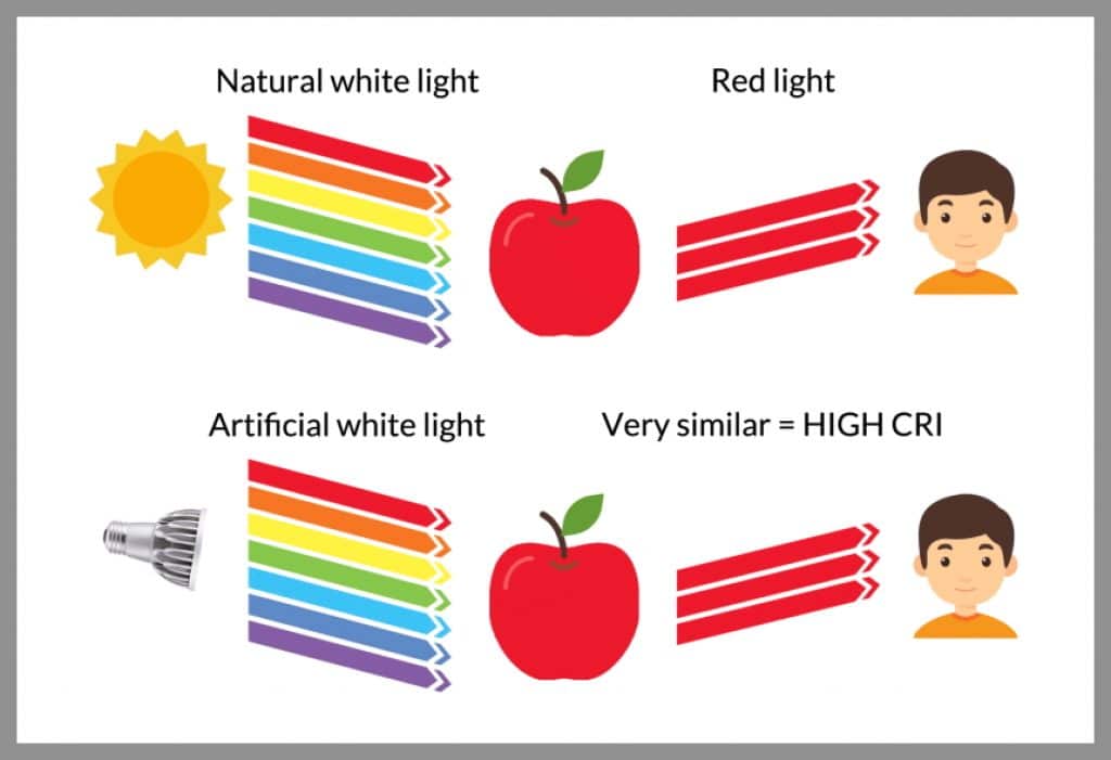 7 Best Natural Light Lamps (Summer 2024) Reviews & Buying Guide