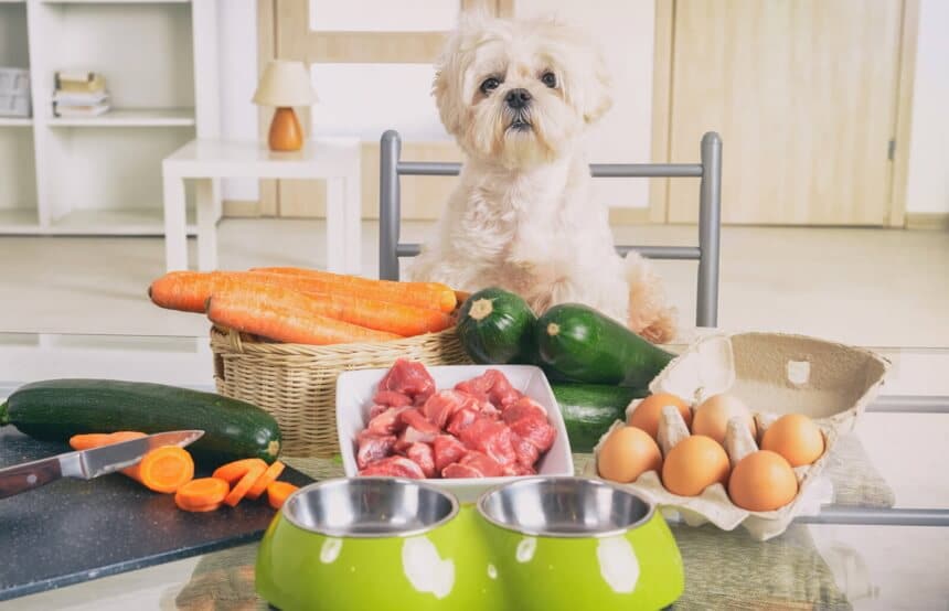 8 Best Meat Grinders for Raw Dog Food — Heavy-Duty and Functional (Winter 2023)