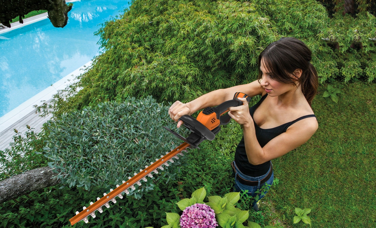 6 Most Effective Electric Hedge Trimmers the Market Has to Offer