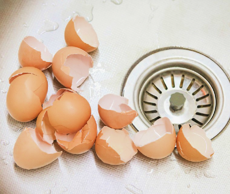 Should You Put Egg Shells in Garbage Diposal?