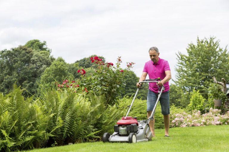 How Do Lawn Mowers Work? Everything You Need to Know [Upd. 2021]