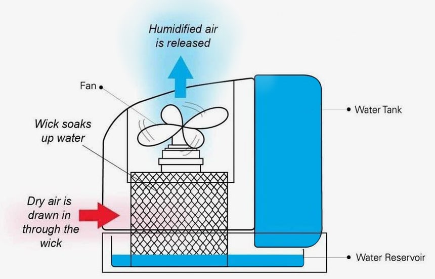 Cool Mist vs Warm Mist Humidifier: What's the Difference?