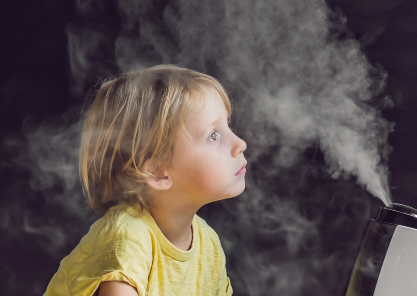 Cool Mist vs Warm Mist Humidifier: What's the Difference?