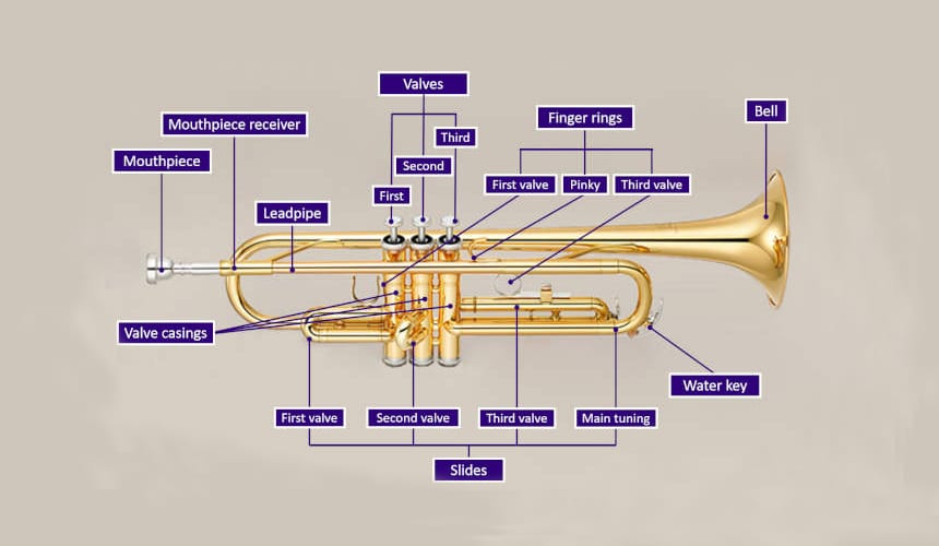 How to Clean Trumpets: 10 Easy-to-Follow Steps