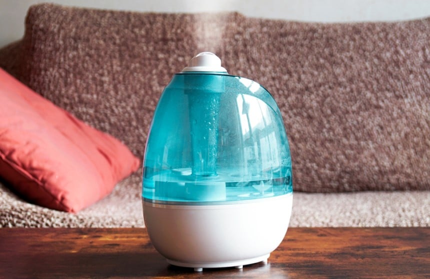 Humidifiers vs Air Purifiers - How Do They Differ?