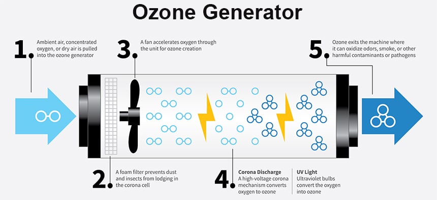 Air Ionizer vs Air Purifier: Which One to Choose?