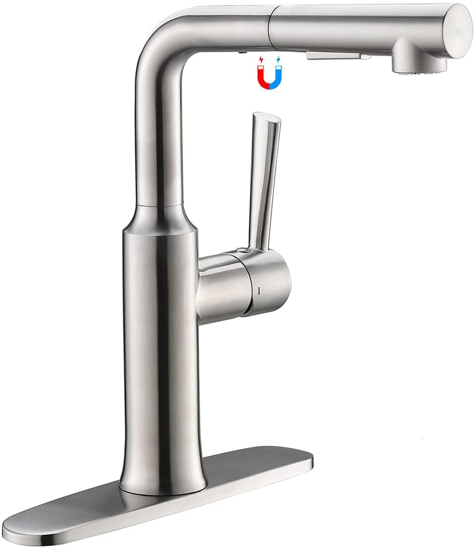 CREA Kitchen Faucet with Pull Out Sprayer