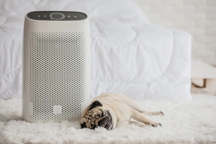 How Many Air Purifiers Do I Need? Tips on Calculating It Right!