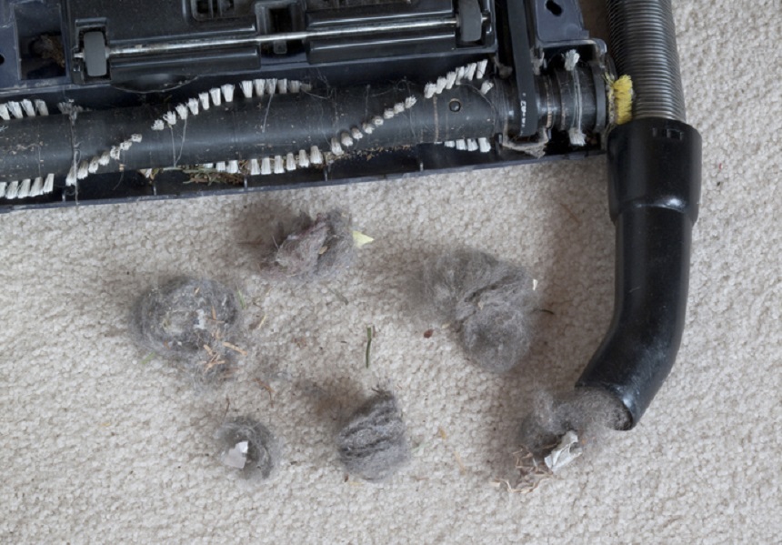 How to Clean Vacuum Hose 6 Steps to Pristine Results