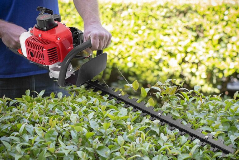 Gas vs Electric Hedge Trimmer What's the Difference (Winter 2024)