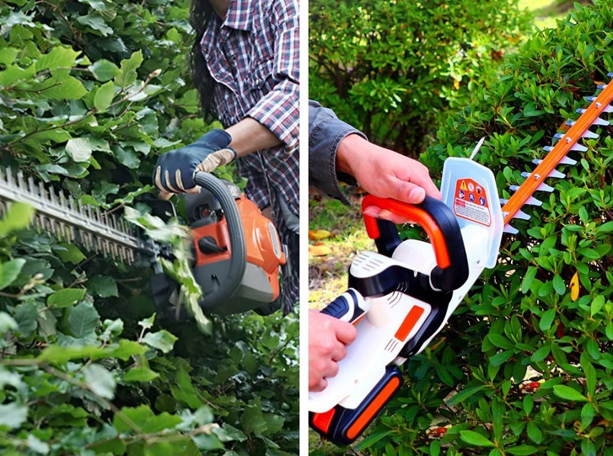 Gas vs Electric Hedge Trimmer: Which Will Be Better for Your Garden?