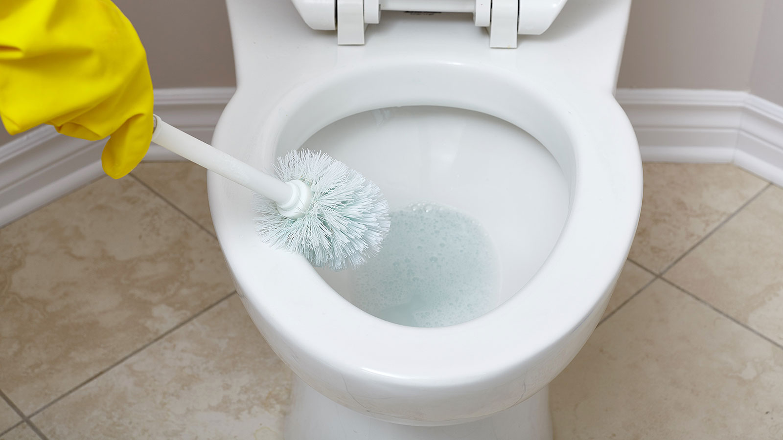 How to Get Rid of Toilet Ring 4 Most Effective Methods [Upd. 2022]