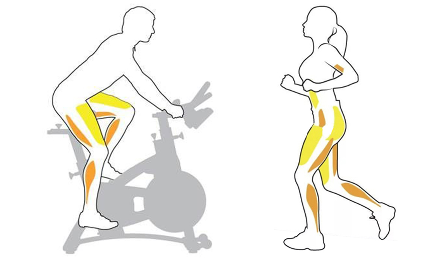 Stationary Bike vs Running: What's a Better Work-Out?