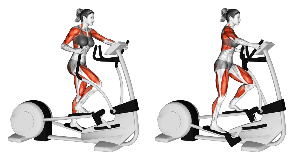 Fitness Facts: How Long on Elliptical to See Results? (Fall 2022)